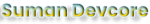 Portfolio logo